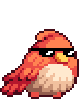 Cool Bird