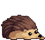 Hedgehog