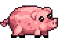 Mr Pig